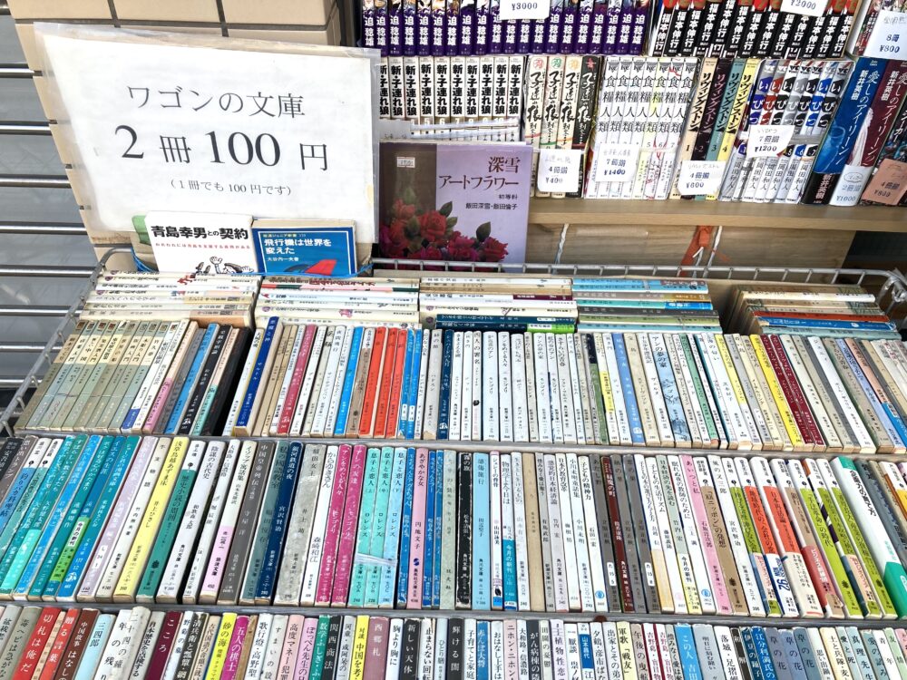 book-waseda-iijima2